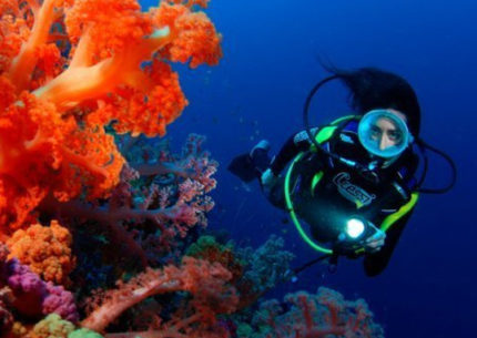 Fiji Diving Vacation