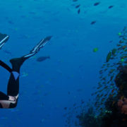 Amazing Diving in Fiji
