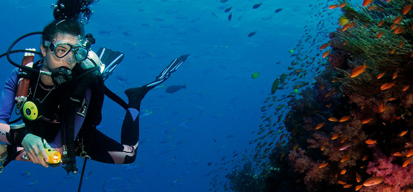 Amazing Diving in Fiji