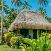 Beach Bure in the Fijian Rainforest