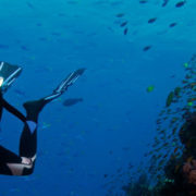 Diving in Fiji