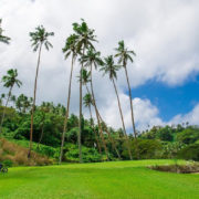 Golf Course in Fiji