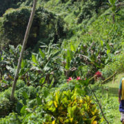 Hiking in Fiji