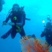 Scuba Diving in Fiji