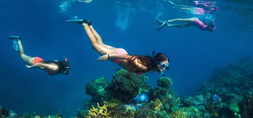 Snorkeling in Fiji Cruise