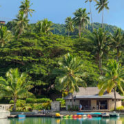 Tropical Resort in Fiji