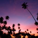 Fiji Travel Agent Review