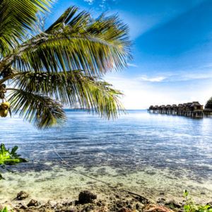 The Best Time to Visit Fiji