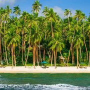 Beach in Authentic Fiji Luxury Resort