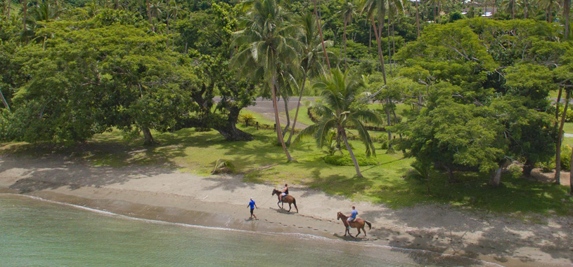 Horseback Riding in Fiji