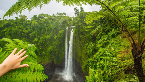 Fauipisa Falls Samoa Vacation