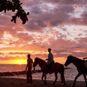 Horse riding on the beach