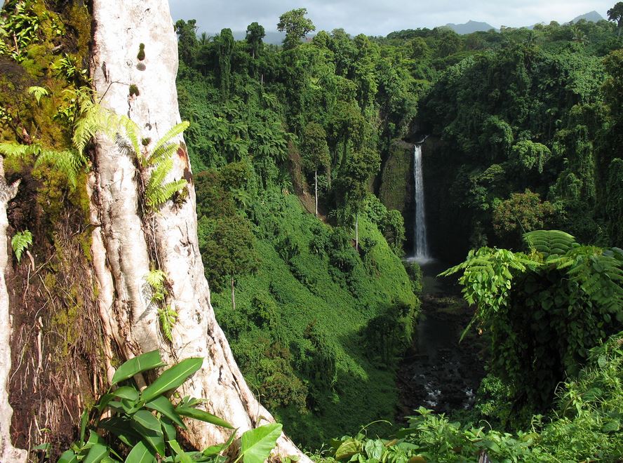 Sopoaga Falls Uplou Samoa