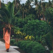 Walking through tropical gardens