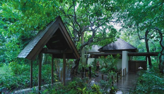 Shangri-La-Rainforst-Bure-2021