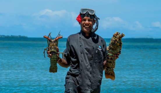 Fijian chef catching lobster