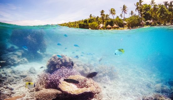 Paradise Cove Beach and Reef